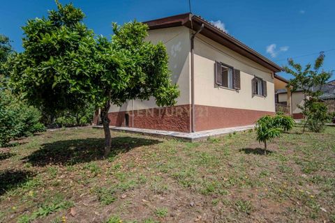 Villa i Tabua, Coimbra, Tabua - € 190.000 | Ref: C0393-01528 - foto 9