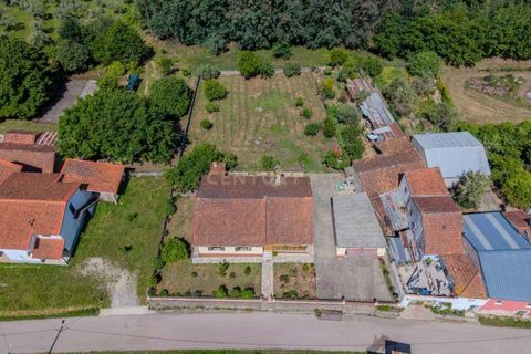 Villa i Tabua, Coimbra, Tabua - € 190.000 | Ref: C0393-01528 - foto 48