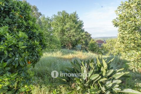 Villa a Agueda, Aveiro, Agueda - € 255.500 | Ref: IMO-119289 - foto 41
