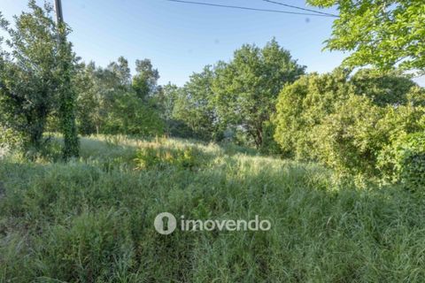 Villa a Agueda, Aveiro, Agueda - € 255.500 | Ref: IMO-119289 - foto 42