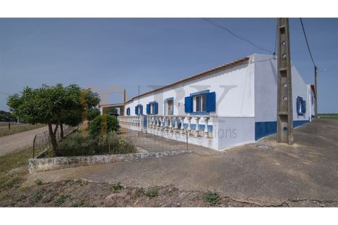 Villa i Albernoa e Trindade, Beja, Albernoa e Trindade - € 325.000 | Ref: BYS-1139 - foto 1