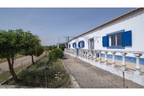 Villa i Albernoa e Trindade, Beja, Albernoa e Trindade - € 325.000 | Ref: BYS-1139 - foto 17