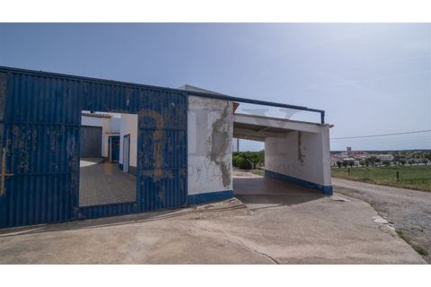 Villa i Albernoa e Trindade, Beja, Albernoa e Trindade - € 325.000 | Ref: BYS-1139 - foto 18