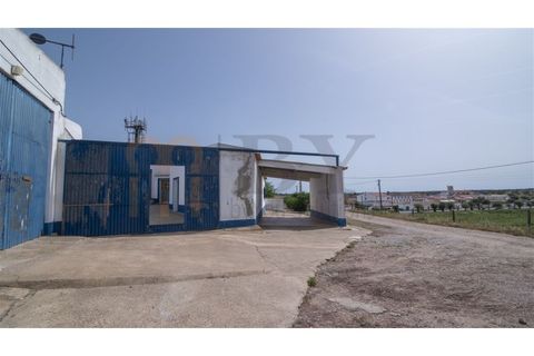 Villa i Albernoa e Trindade, Beja, Albernoa e Trindade - € 325.000 | Ref: BYS-1139 - foto 19