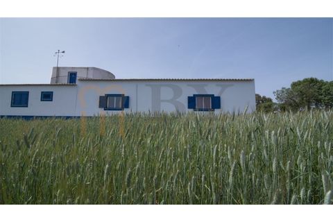 Villa i Albernoa e Trindade, Beja, Albernoa e Trindade - € 325.000 | Ref: BYS-1139 - foto 48