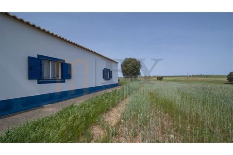 Villa i Albernoa e Trindade, Beja, Albernoa e Trindade - € 325.000 | Ref: BYS-1139 - foto 49