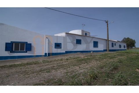 Villa i Albernoa e Trindade, Beja, Albernoa e Trindade - € 325.000 | Ref: BYS-1139 - foto 50
