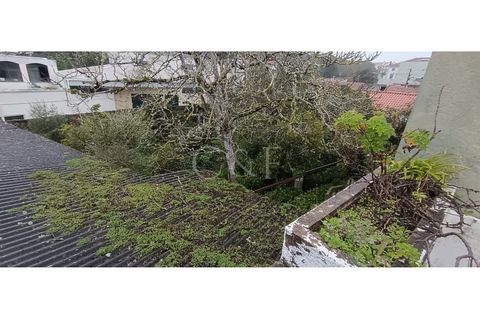Villa i Bombarral, Leiria, Bombarral - € 450.000 | Ref: XAL_442 - foto 8