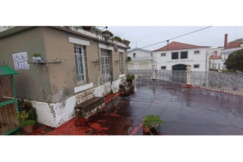 Villa i Bombarral, Leiria, Bombarral - € 450.000 | Ref: XAL_442 - foto 13