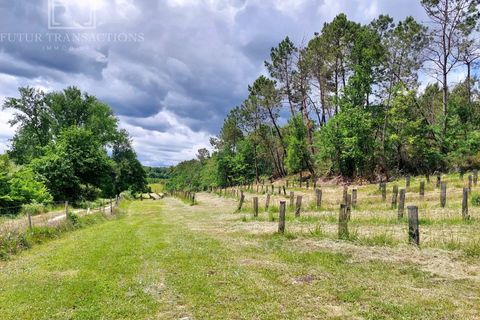 Villa i Riberac, Dordogne, Riberac - € 269.000 | Ref: S 3076 - foto 6