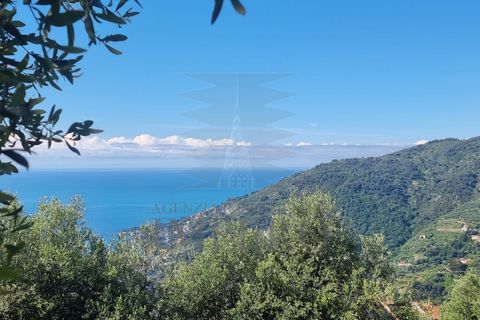 Villa a Ventimiglia, Imperia, Ventimiglia - € 740.000 | Ref: 23902 - foto 29