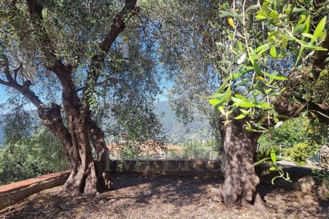 Villa a Ventimiglia, Imperia, Ventimiglia - € 740.000 | Ref: 23902 - foto 30