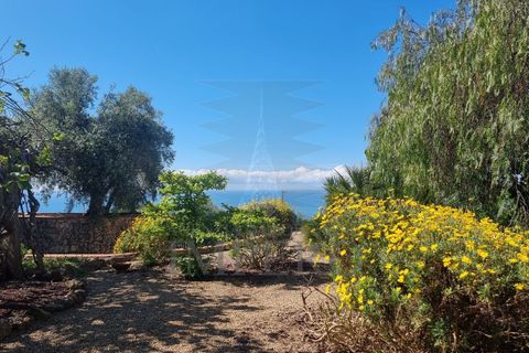 Villa a Ventimiglia, Imperia, Ventimiglia - € 740.000 | Ref: 23902 - foto 31