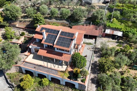 Villa a Ventimiglia, Imperia, Ventimiglia - € 740.000 | Ref: 23902 - foto 42