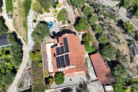 Villa a Ventimiglia, Imperia, Ventimiglia - € 740.000 | Ref: 23902 - foto 45