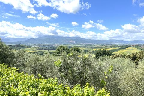 Villa i Paliano, Frosinone, Paliano - € 185.000 | Ref: 201-455 - foto 28