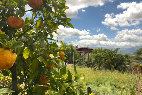 Villa i Paliano, Frosinone, Paliano - € 185.000 | Ref: 201-455 - foto 29