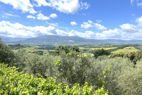 Villa i Paliano, Frosinone, Paliano - € 185.000 | Ref: 201-455 - foto 38