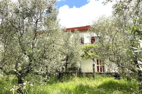Villa i Paliano, Frosinone, Paliano - € 185.000 | Ref: 201-455 - foto 40