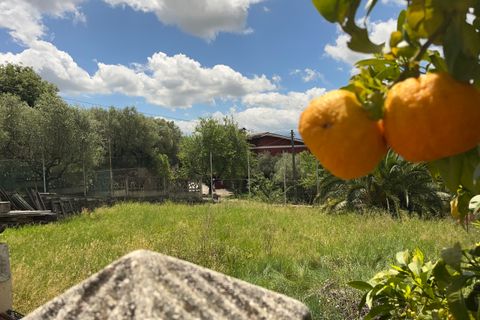 Villa i Paliano, Frosinone, Paliano - € 185.000 | Ref: 201-455 - foto 42