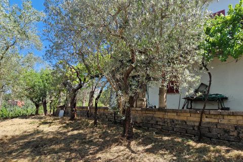 Villa i Paliano, Frosinone, Paliano - € 185 000 | Ref: 201-455 - foto 4