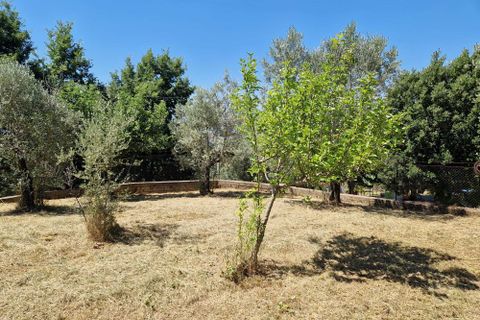 Villa i Paliano, Frosinone, Paliano - € 185 000 | Ref: 201-455 - foto 10