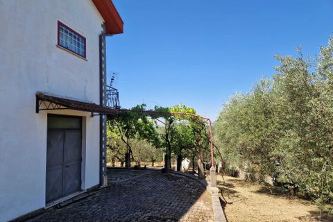 Villa i Paliano, Frosinone, Paliano - € 185 000 | Ref: 201-455 - foto 13