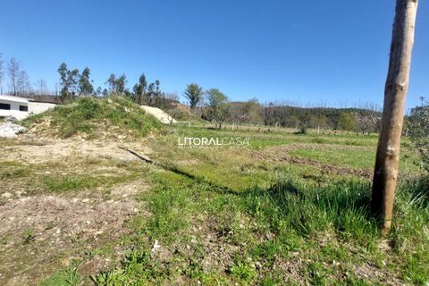 Villa i Agueda, Aveiro, Agueda - € 305.000 | Ref: VEN-4206 - foto 7