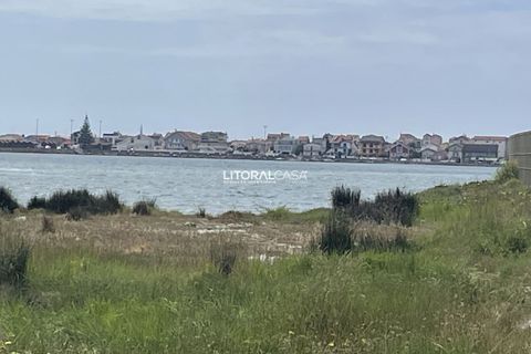 Villa i Ilhavo, Aveiro, Ilhavo - € 350.000 | Ref: VEN-4225 - foto 8