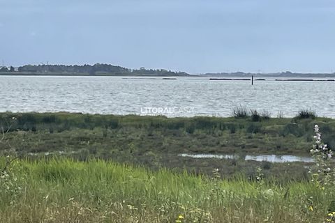 Villa i Ilhavo, Aveiro, Ilhavo - € 350.000 | Ref: VEN-4225 - foto 9
