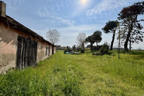 Landejendom i Cesenatico, Forli-Cesena, Cesenatico - € 360.000 | Ref: VILL360 - foto 3