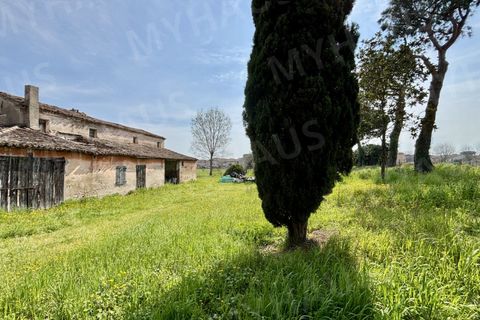 Landejendom i Cesenatico, Forli-Cesena, Cesenatico - € 360.000 | Ref: VILL360 - foto 8