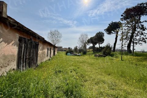 Landejendom i Cesenatico, Forli-Cesena, Cesenatico - € 360.000 | Ref: VILL360 - foto 16