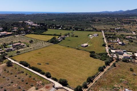 Terra a Manacor, Mallorca, Manacor - € 205.000 | Ref: 15RKTM016/3010 - foto 2