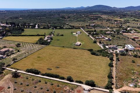 Terra a Manacor, Mallorca, Manacor - € 205.000 | Ref: 15RKTM016/3010 - foto 3