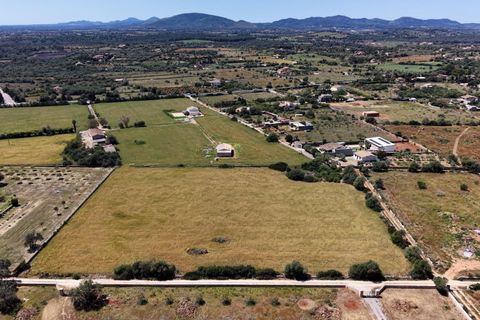 Terra a Manacor, Mallorca, Manacor - € 205.000 | Ref: 15RKTM016/3010 - foto 4