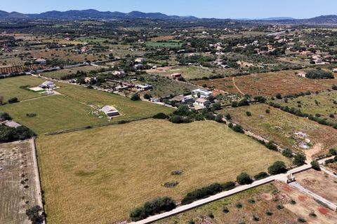 Terra a Manacor, Mallorca, Manacor - € 205.000 | Ref: 15RKTM016/3010 - foto 5