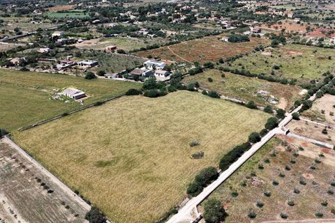 Terra a Manacor, Mallorca, Manacor - € 205.000 | Ref: 15RKTM016/3010 - foto 6