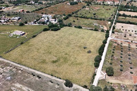 Terra a Manacor, Mallorca, Manacor - € 205.000 | Ref: 15RKTM016/3010 - foto 7