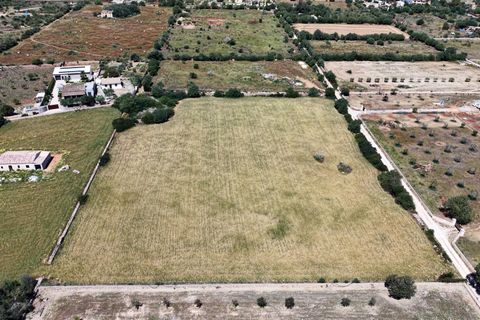 Terra a Manacor, Mallorca, Manacor - € 205.000 | Ref: 15RKTM016/3010 - foto 8