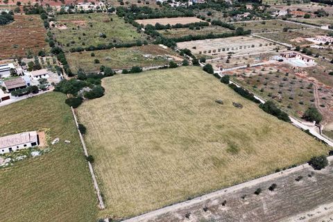 Terra a Manacor, Mallorca, Manacor - € 205.000 | Ref: 15RKTM016/3010 - foto 9