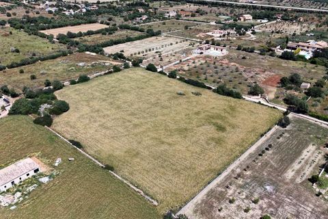 Terra a Manacor, Mallorca, Manacor - € 205.000 | Ref: 15RKTM016/3010 - foto 10