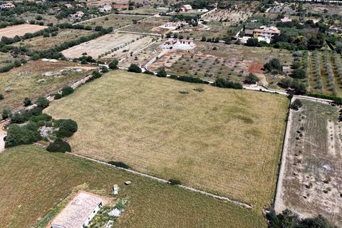 Terra a Manacor, Mallorca, Manacor - € 205.000 | Ref: 15RKTM016/3010 - foto 11