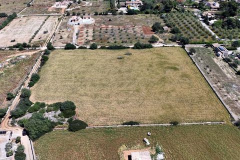 Terra a Manacor, Mallorca, Manacor - € 205.000 | Ref: 15RKTM016/3010 - foto 12