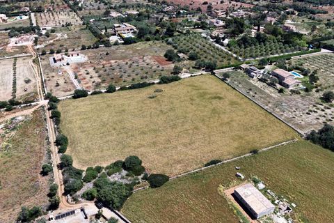 Terra a Manacor, Mallorca, Manacor - € 205.000 | Ref: 15RKTM016/3010 - foto 13
