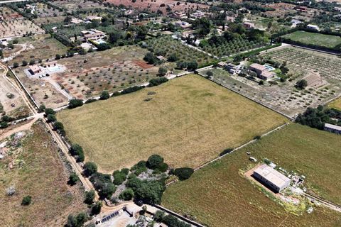 Terra a Manacor, Mallorca, Manacor - € 205.000 | Ref: 15RKTM016/3010 - foto 14