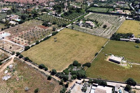 Terra a Manacor, Mallorca, Manacor - € 205.000 | Ref: 15RKTM016/3010 - foto 15