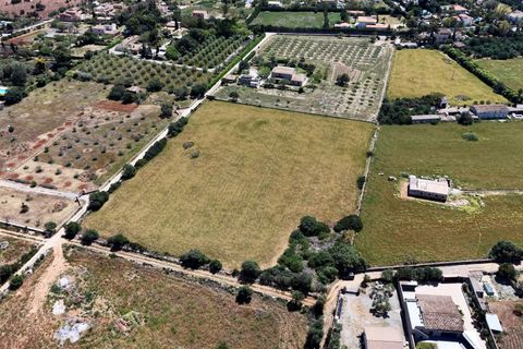 Terra a Manacor, Mallorca, Manacor - € 205.000 | Ref: 15RKTM016/3010 - foto 16