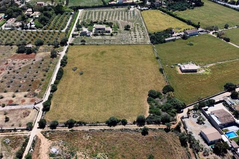 Terra a Manacor, Mallorca, Manacor - € 205.000 | Ref: 15RKTM016/3010 - foto 17