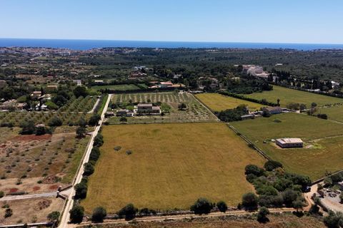 Terra a Manacor, Mallorca, Manacor - € 205.000 | Ref: 15RKTM016/3010 - foto 18